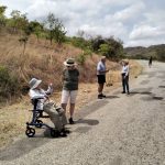 Botanising with Meg on the escarpment