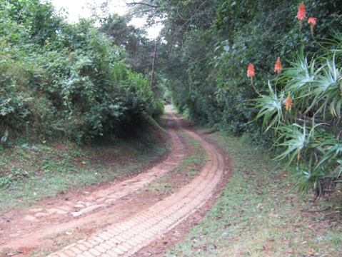 Entrance to Seldomseen Photo by Tony Alegria