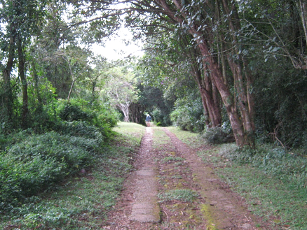 Road beyond Witchwood to camping site Photo by Tony Alegria