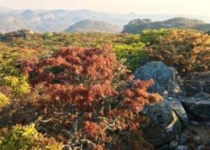 Hidden Rocks, Nyanga Photo by Lucina Faccio