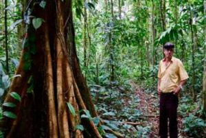 Elicinio Flores walks through his patch of rainforest daily, proud of what he has preserved.