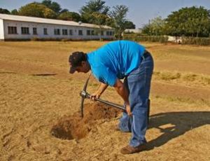 Planting trees is hard work Photo by Meg Coates Palgrave