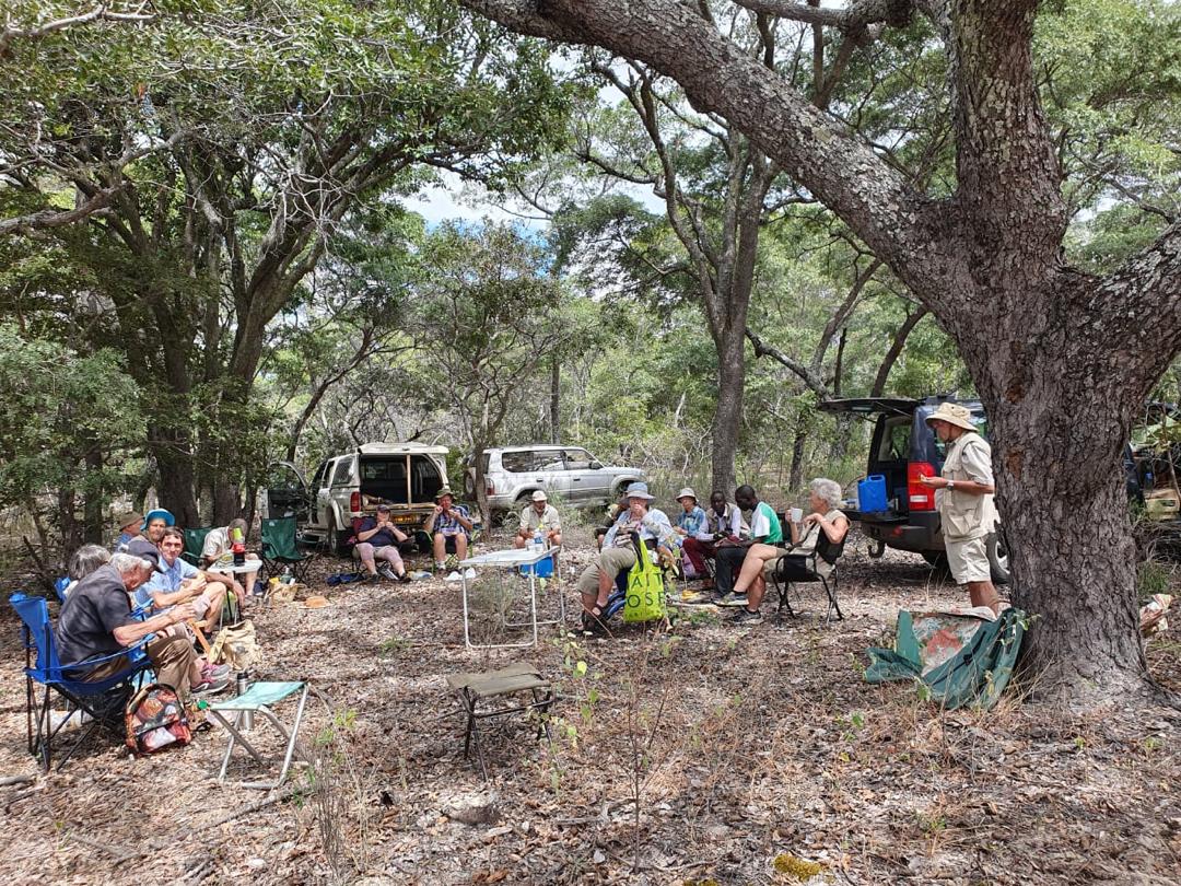 Lunch time in the forest Photo by Rob Kelly