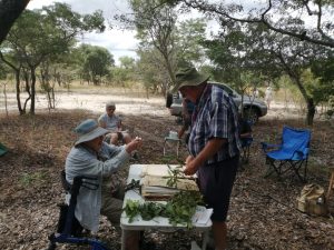 Confirming or identifying samples in the forest during lunch time Photo by Jan van Bel