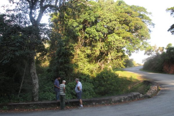 On the Vumba Rd Photo Ann Sinclair